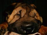 Kuk :)  - 24.10.2004