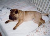 Ayla v posteli - 7.12.2004