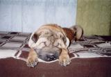 Ayla v posteli - 7.12.2004