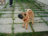 Ayluko otep se :) - 23.10.2004